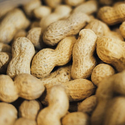 In-Shell Raw Peanuts