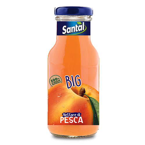 Santal Big Pesca Parmalat 250ml 24pz